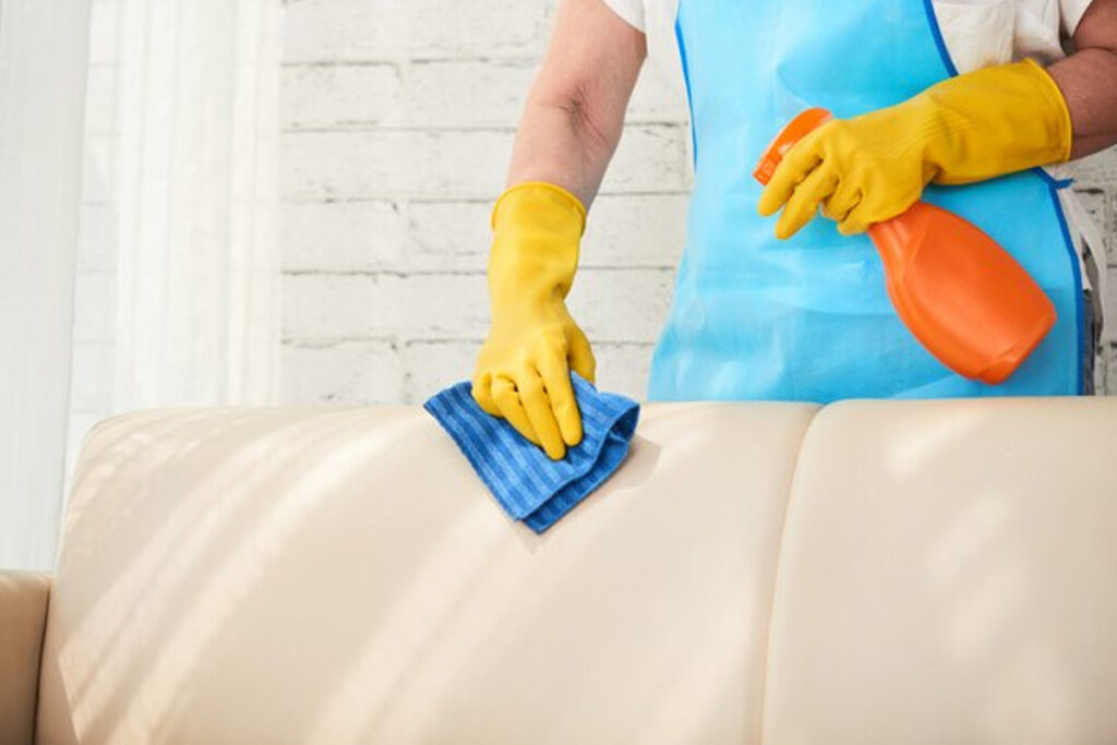 Quality Upholstery Cleaning